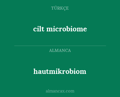 hautmikrobiom - cilt microbiome