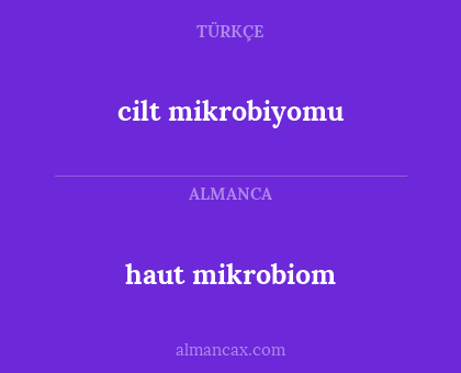 haut mikrobiom - cilt mikrobiyomu