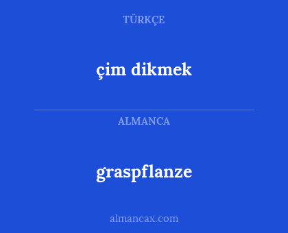 graspflanze - çim dikmek
