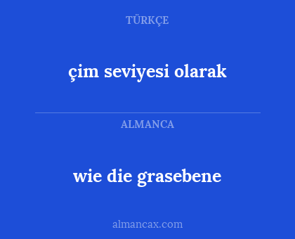 çim seviyesi olarak - wie die grasebene