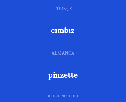 cımbız - pinzette