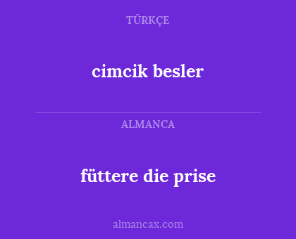 cimcik besler - füttere die prise
