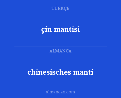 çin mantisi - chinesisches manti