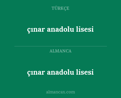 çınar anadolu lisesi - çınar anadolu lisesi