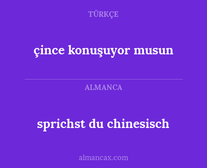 çince konuşuyor musun - sprichst du chinesisch