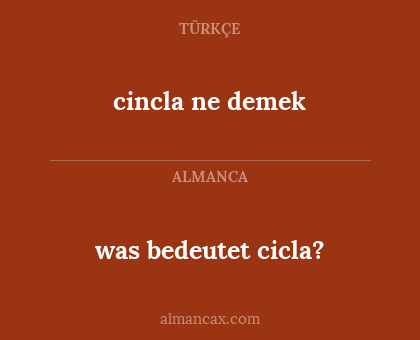 cincla ne demek - was bedeutet cicla?