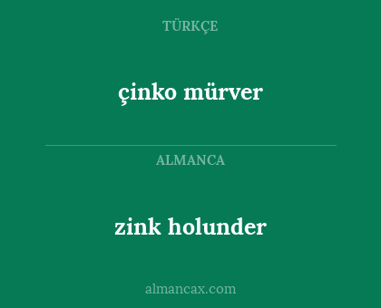 çinko mürver - zink holunder