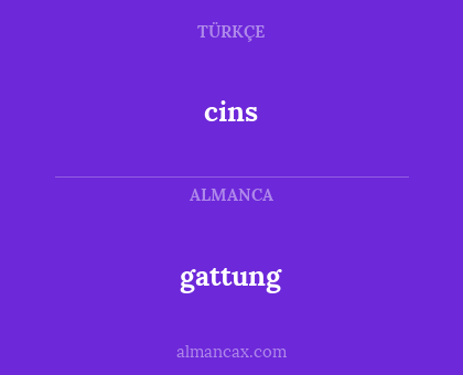 cins - gattung