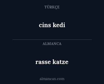 rasse katze - cins kedi