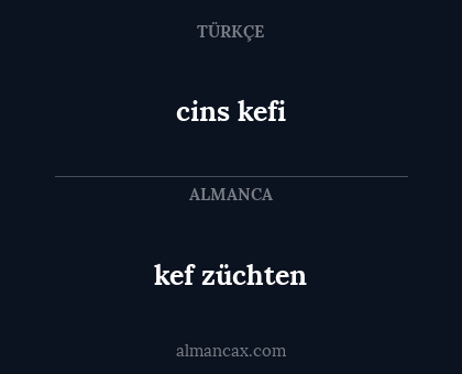 cins kefi - kef züchten