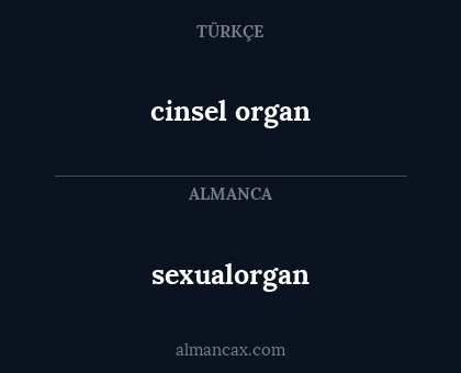 cinsel organ - sexualorgan