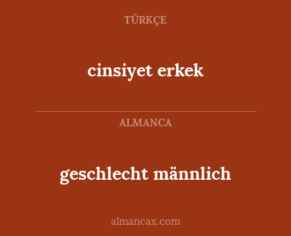 cinsiyet erkek - geschlecht männlich