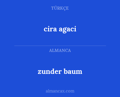 zunder baum - cira agaci
