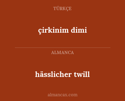 hässlicher twill - çirkinim dimi