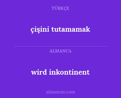 wird inkontinent - çişini tutamamak