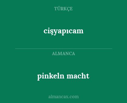 cişyapıcam - pinkeln macht