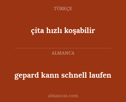 gepard kann schnell laufen - çita hızlı koşabilir