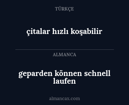 geparden können schnell laufen - çitalar hızlı koşabilir