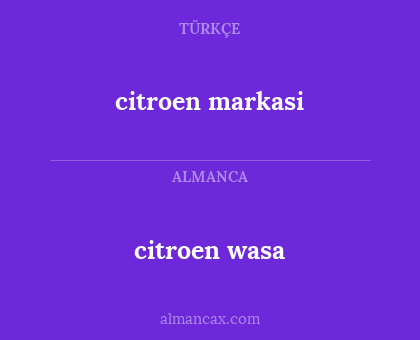 citroen wasa - citroen markasi