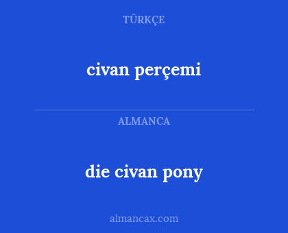 civan perçemi - die civan pony