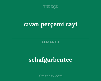 schafgarbentee - civan perçemi cayi