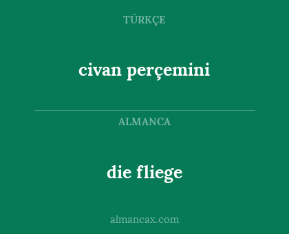 civan perçemini - die fliege