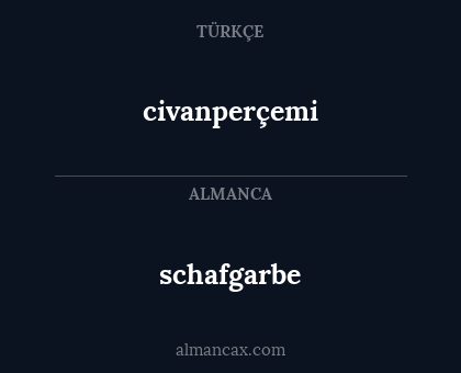 schafgarbe - civanperçemi