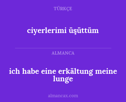 ciyerlerimi üşüttüm - ich habe eine erkältung meine lunge