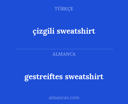 çizgili sweatshirt - gestreiftes sweatshirt