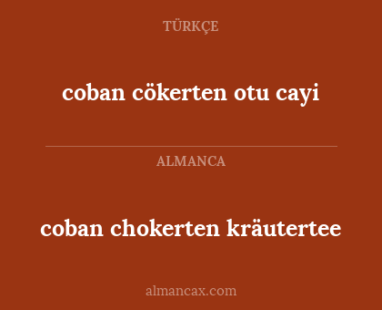 coban chokerten kräutertee - coban cökerten otu cayi