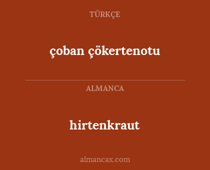 çoban çökertenotu - hirtenkraut