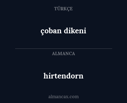 hirtendorn - çoban dikeni