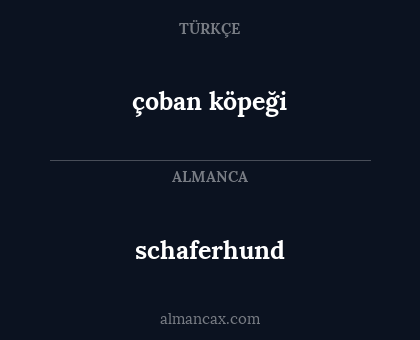 çoban köpeği - schaferhund