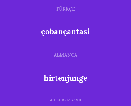 hirtenjunge - çobançantasi