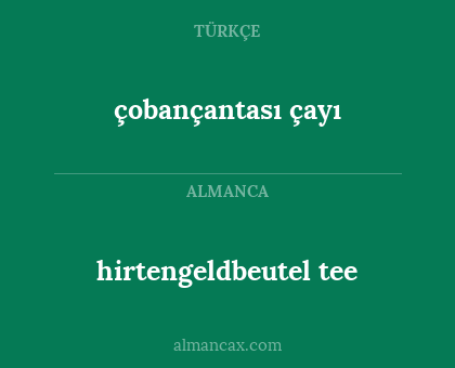 hirtengeldbeutel tee - çobançantası çayı