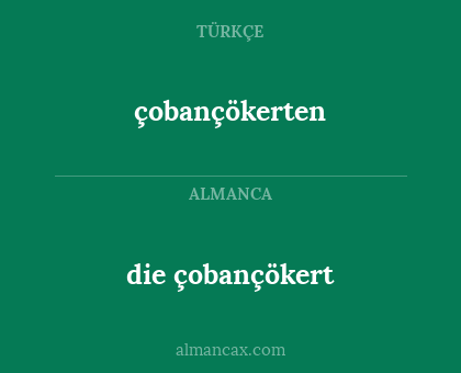 çobançökerten - die çobançökert