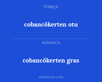 cobancökerten gras - cobancökerten otu