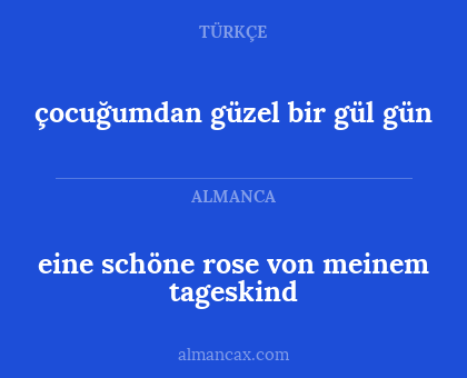 çocuğumdan güzel bir gül gün - eine schöne rose von meinem tageskind