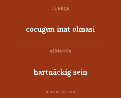 hartnäckig sein - cocugun inat olmasi