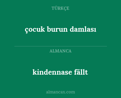 çocuk burun damlası - kindennase fällt