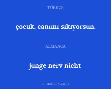 junge nerv nicht - çocuk, canımı sıkıyorsun.