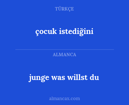 junge was willst du - çocuk istediğini