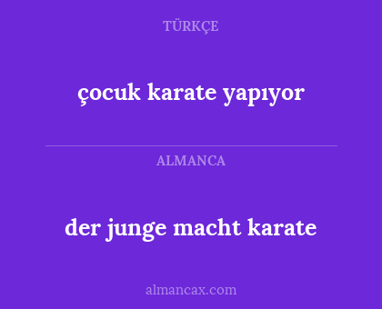 çocuk karate yapıyor - der junge macht karate