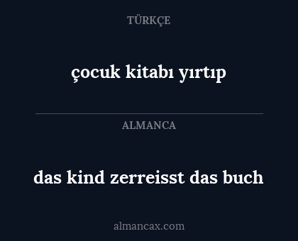 das kind zerreisst das buch - çocuk kitabı yırtıp