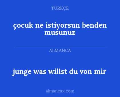 junge was willst du von mir - çocuk ne istiyorsun benden musunuz
