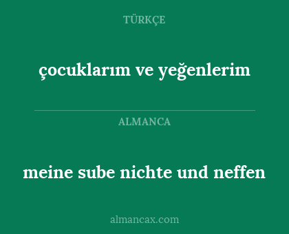 meine sube nichte und neffen - çocuklarım ve yeğenlerim