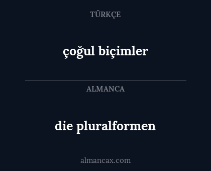 die pluralformen - çoğul biçimler