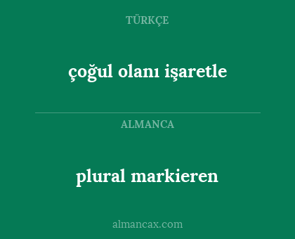 plural markieren - çoğul olanı işaretle