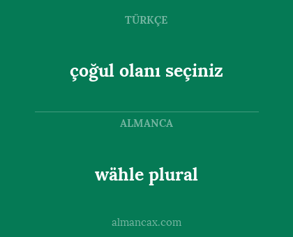 wähle plural - çoğul olanı seçiniz