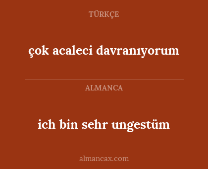 çok acaleci davranıyorum - ich bin sehr ungestüm